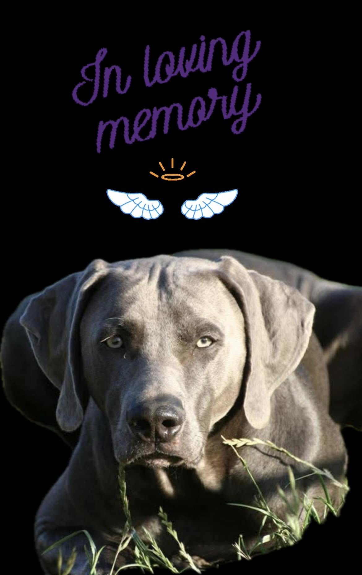 Athos-memory