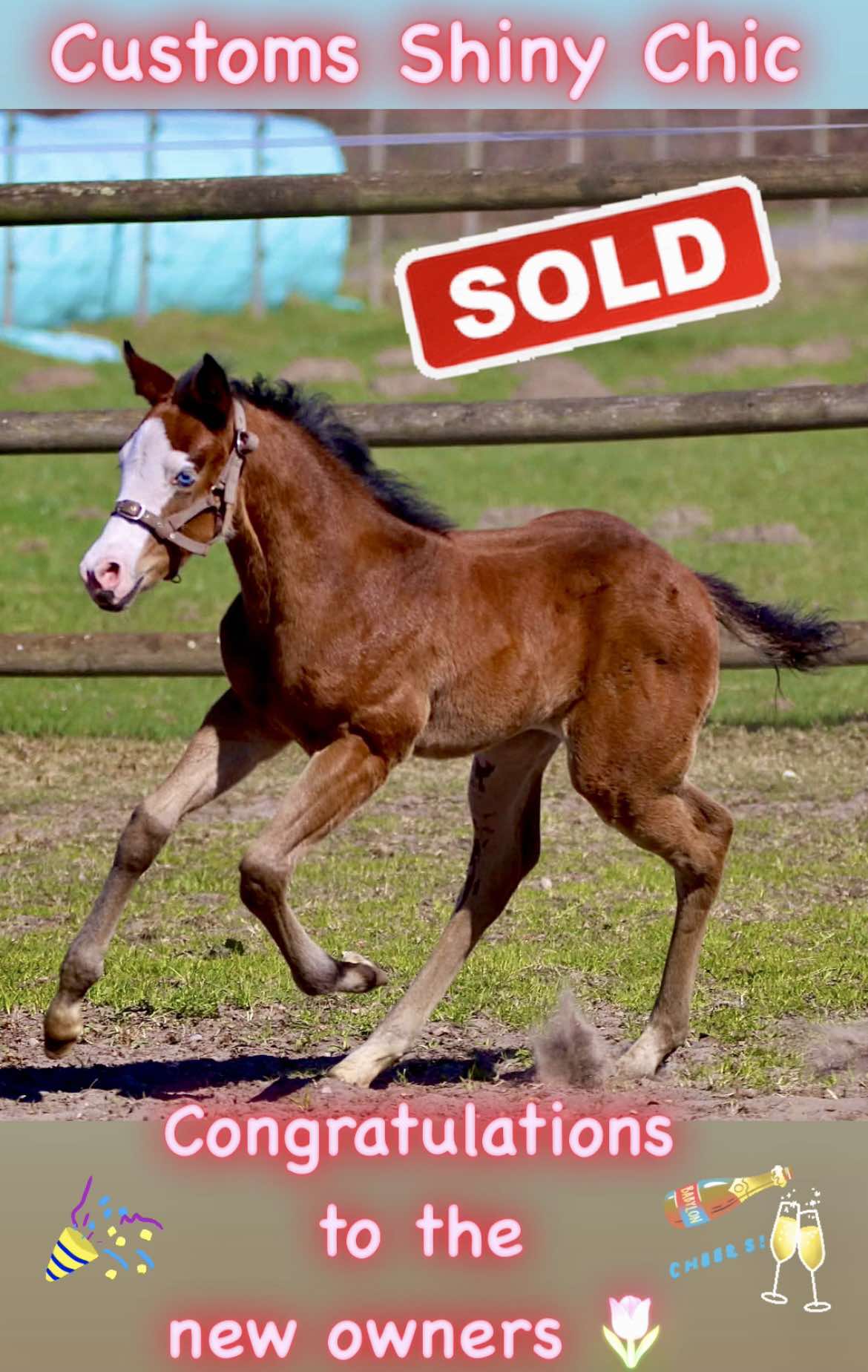 Nyla-sold