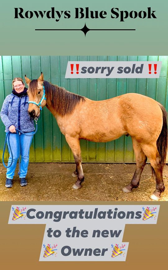 charlie-sold