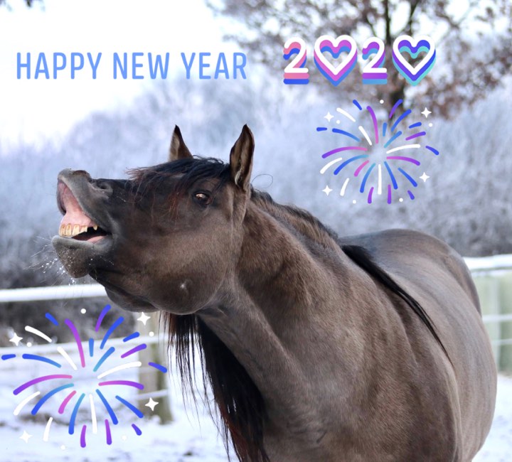 happy new year 2020