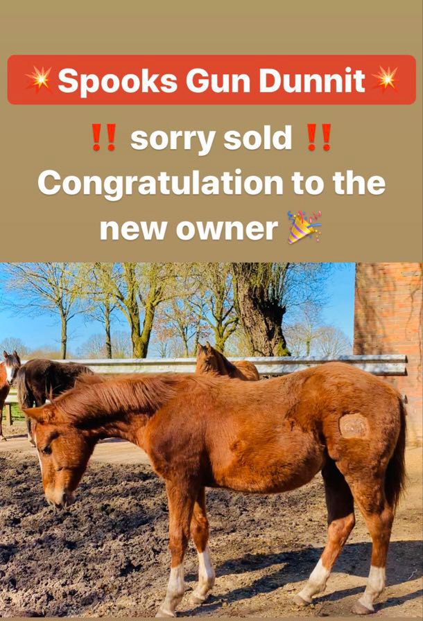 otis-sold