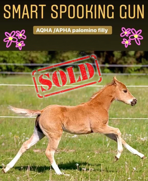 summer-sold