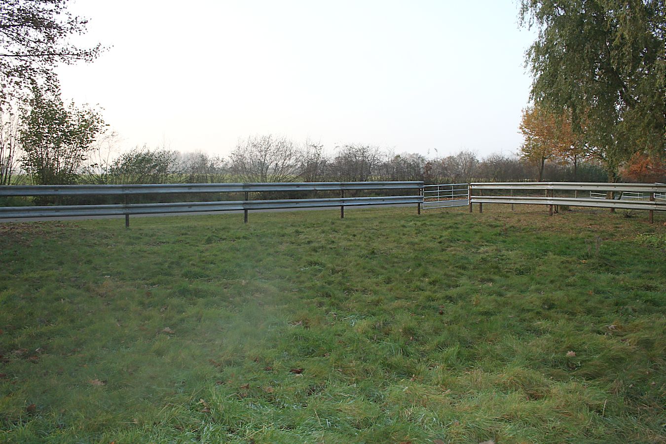 Stutenauslauf4
