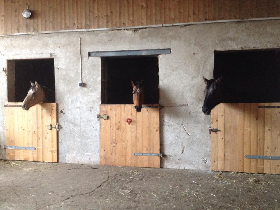 boxen2015-3
