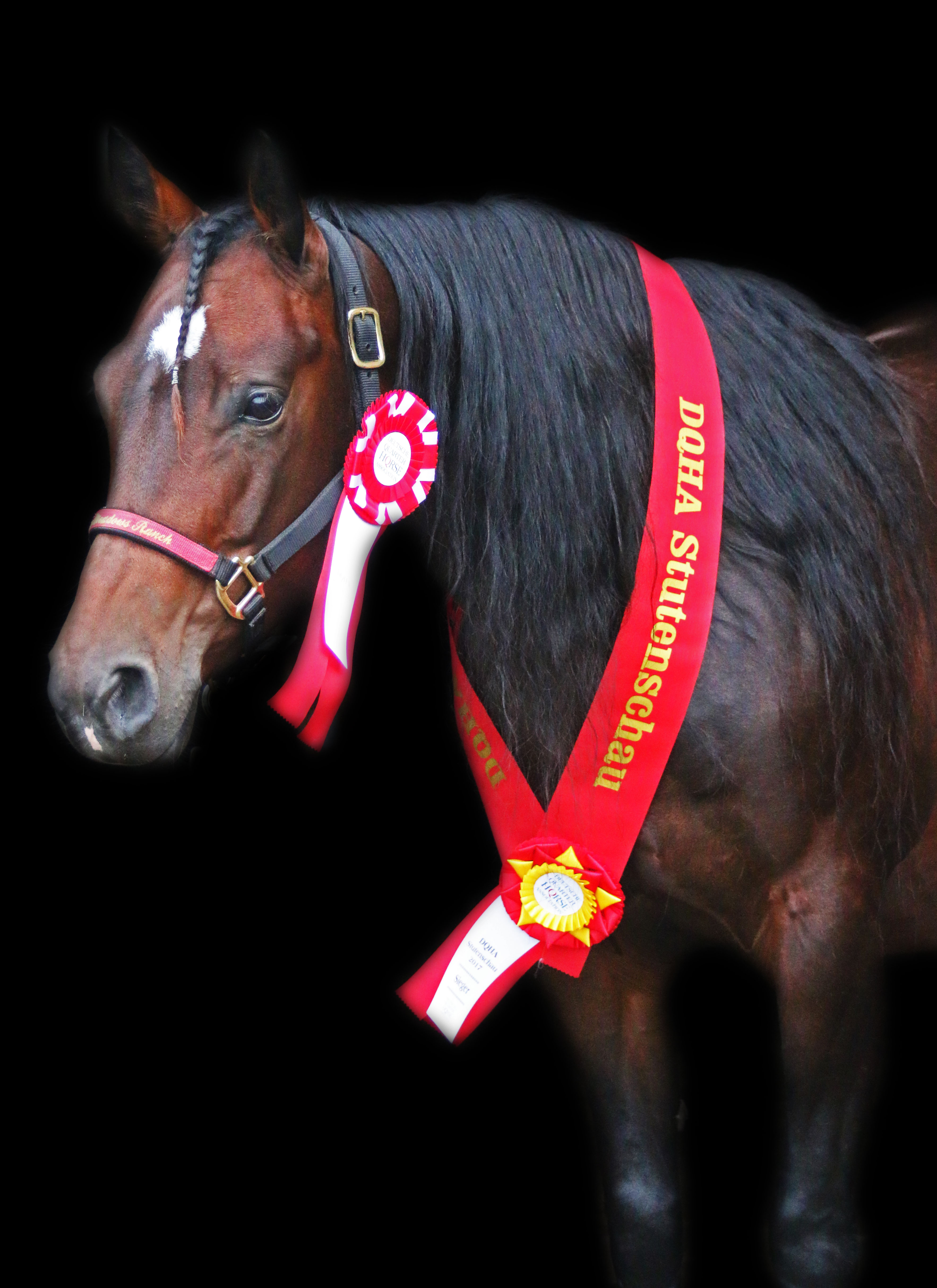 grace-stutenschau-05
