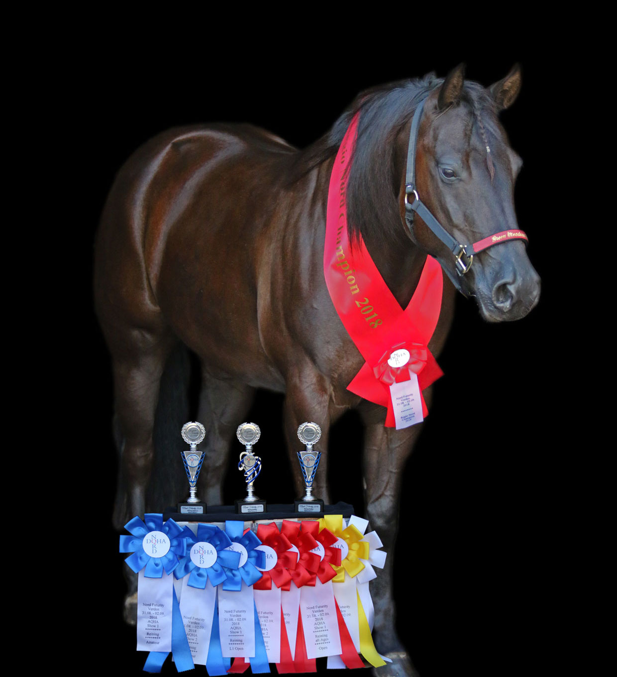katie-nord-champion2018
