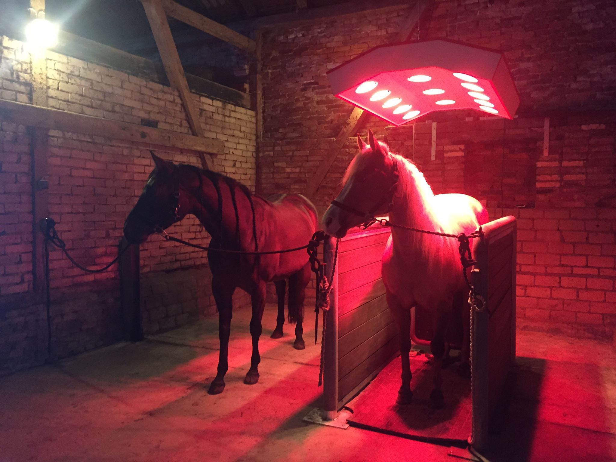 solarium 3